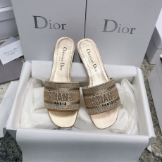 Christian Dior Slippers